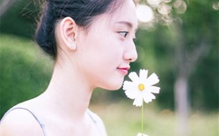 食品公司电影下载